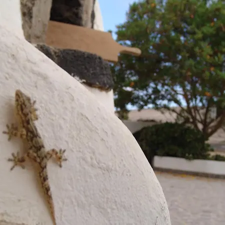 Kalindi Lanzarote カントリーハウス