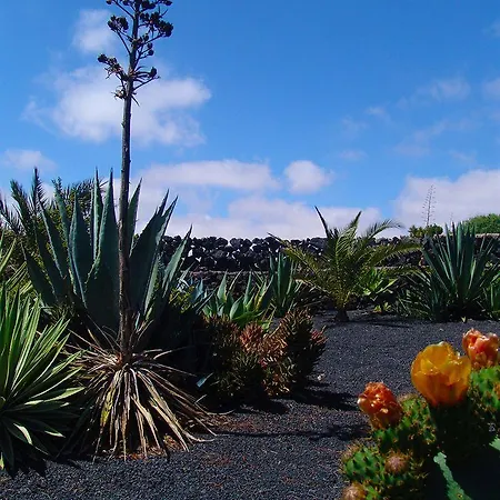 カントリーハウス Kalindi Lanzarote コスタ・テギセ